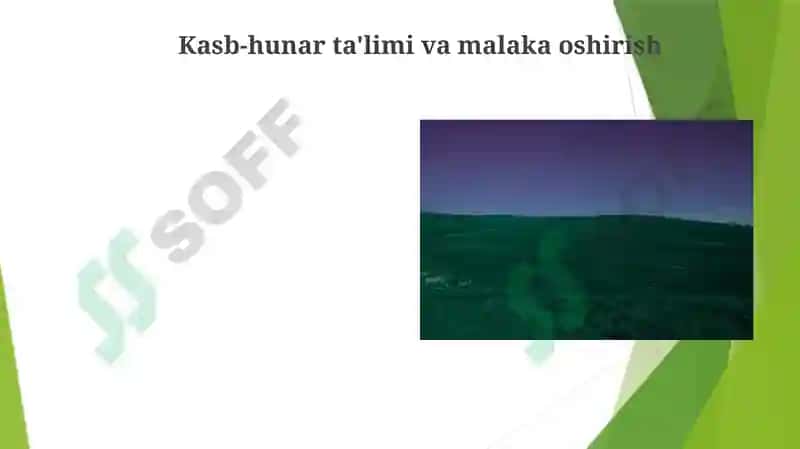 O'qituvchilarni tayyorlash va malakasini oshirish 6