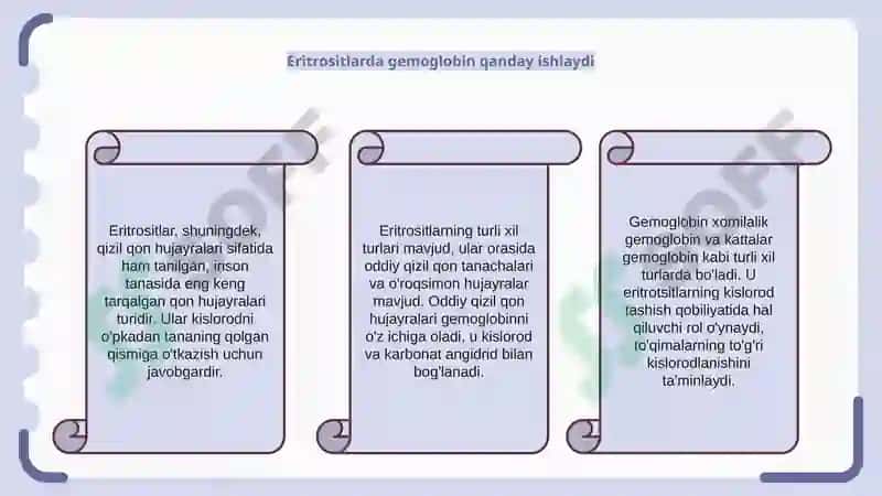 Eritrotsitlar va Gemoglobin 6