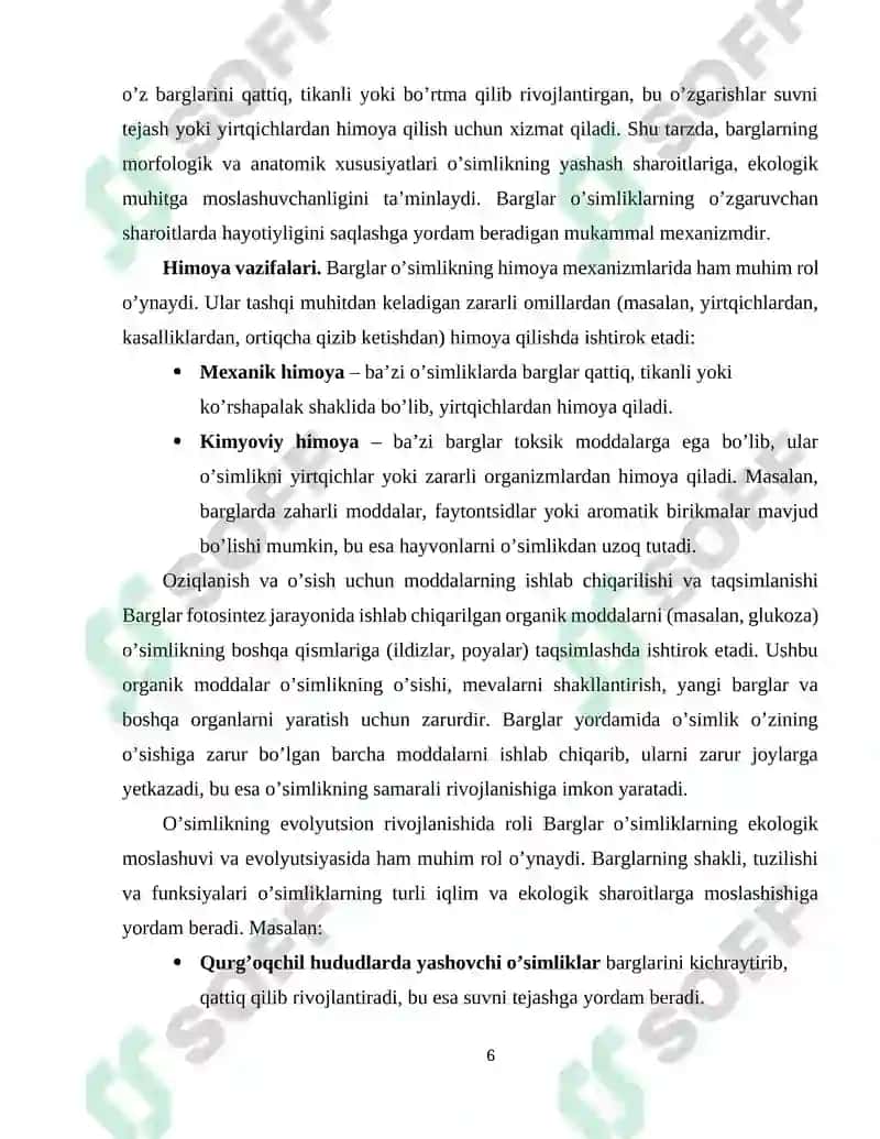 Barglarning Morfologik va Anatomik Tuzilishi 6