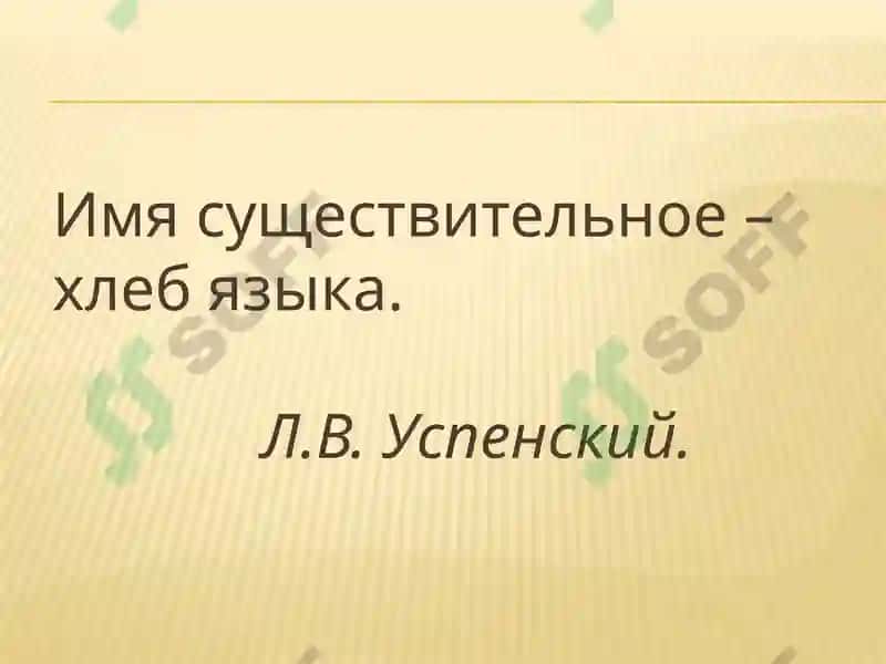 ИМЯ СУЩЕСТВИТЕЛЬНОЕ 6