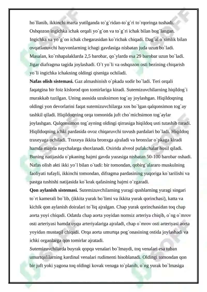 Sutemizuvchilar sinfi, ekologiyasi va evolyutsiyasi kurs ishi 6
