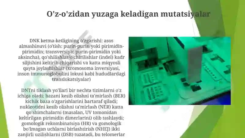Mutatsiya va DNK reparatsiyasining molekulyar mexanizmlari 6