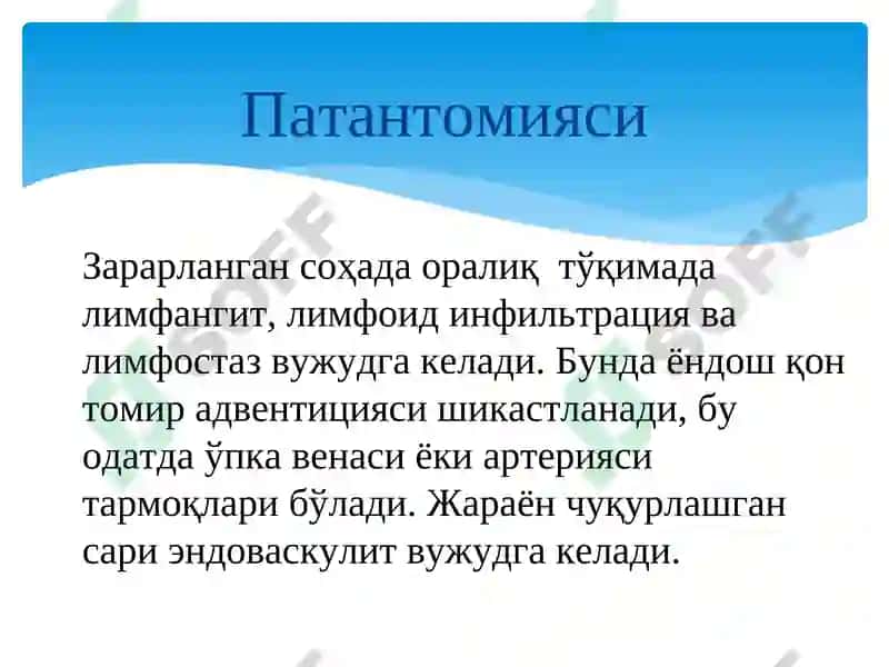 ТАРҚОҚ туберкулёз 6