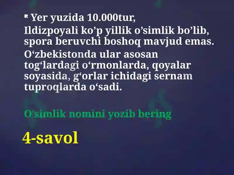 GAP NIMA HAQIDA KETYAPTI? 6
