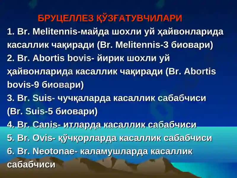 Бруцеллез 6