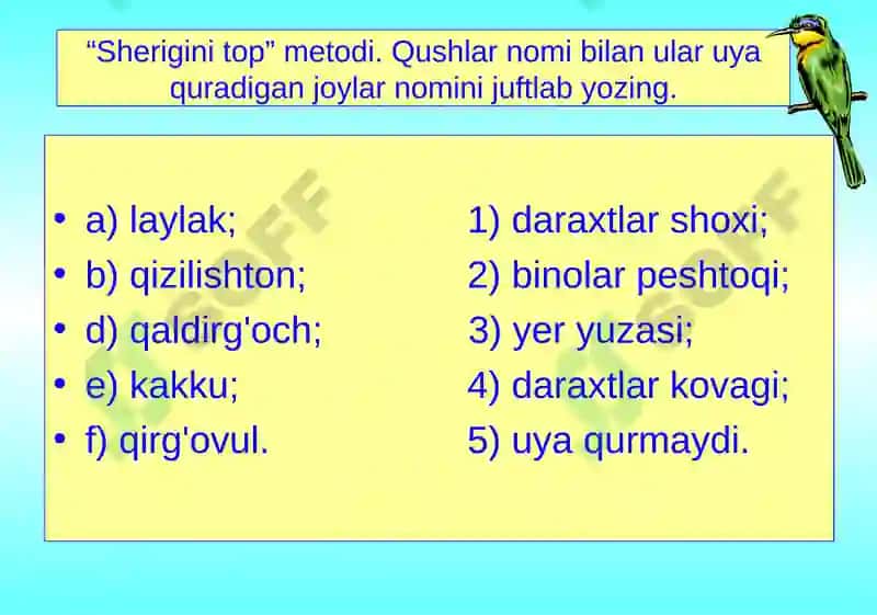 Qushlarning mavsumiy hodisalarga moslashishi 6