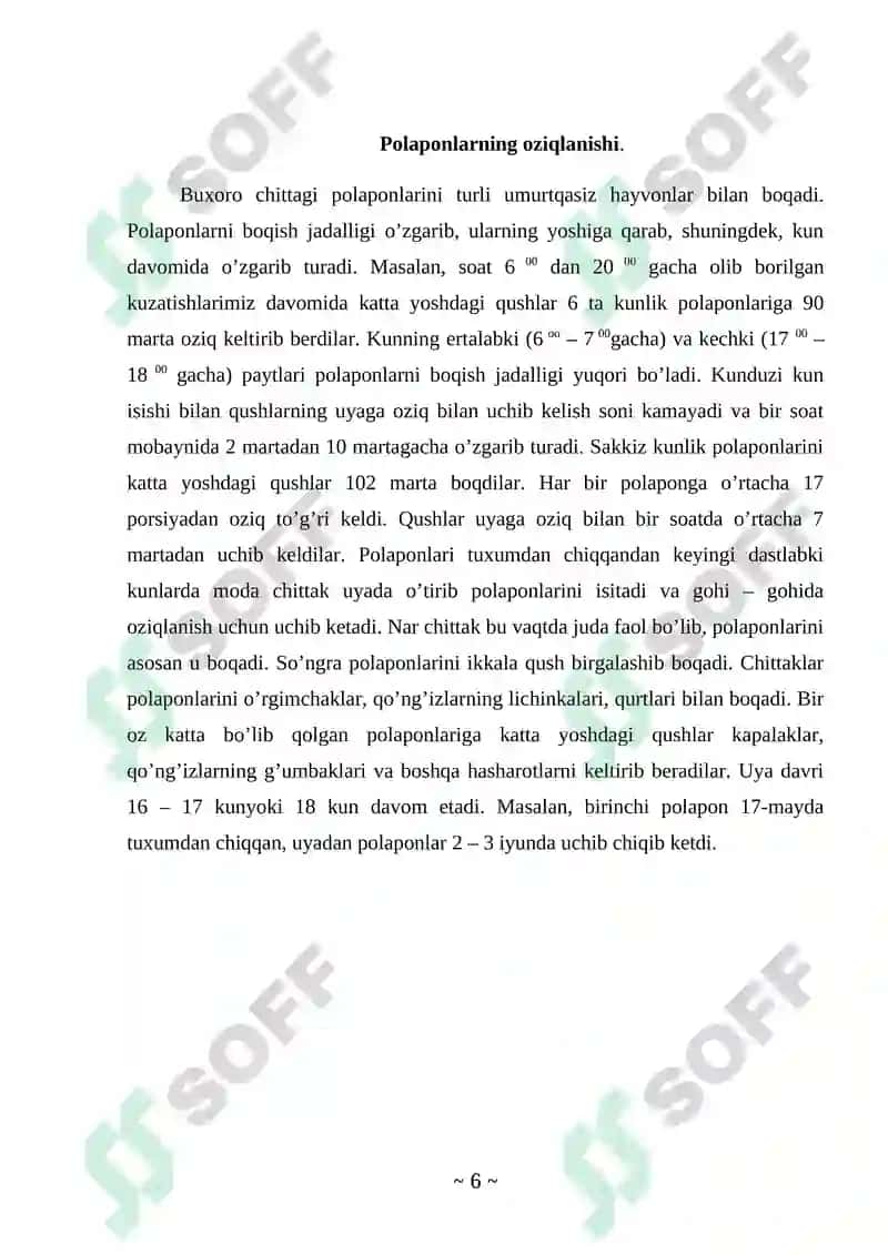 Qushlar sinfi Kurs ishi 6