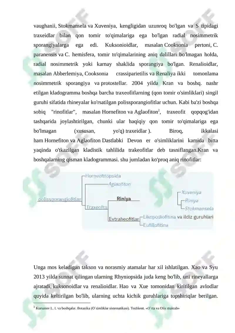 Riniyatoifa – Ryhniophyta o’simliklar bo’limi KURS ISHI 6