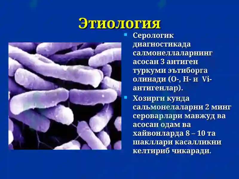 Сальмонеллез 6