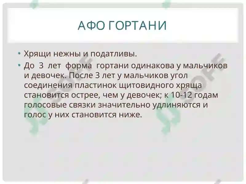 АНАТОМО-ФИЗИОЛОГИЧЕСКИЕ ОСОБЕННОСТИ ОРГАНОВ ДЫХАНИЯ У ДЕТЕЙ 6