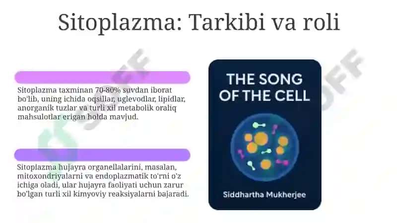 Hujayratuzilishi, Hujayranazariyasi, Genetikinjeneriya 6