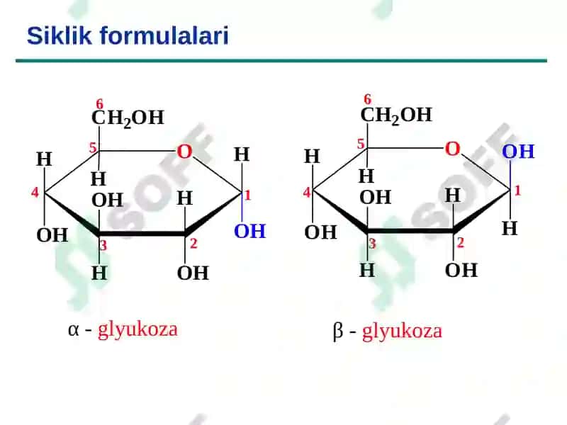 Uglevodlar Sho'rchi 2024 6
