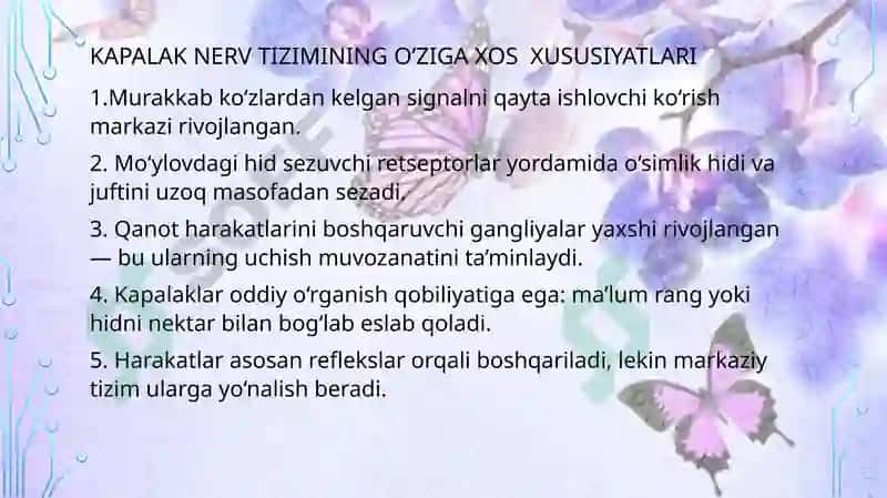 Kapalakning nerv va reproductive tizimi 6