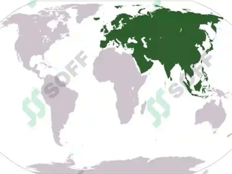 Yer yuzasi geografiyasi 6