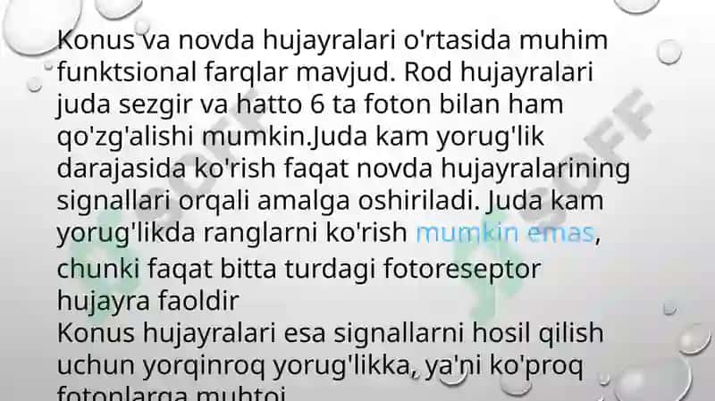 Fotoretseptsıya körısh hujayralarınıng tuzıshı 6