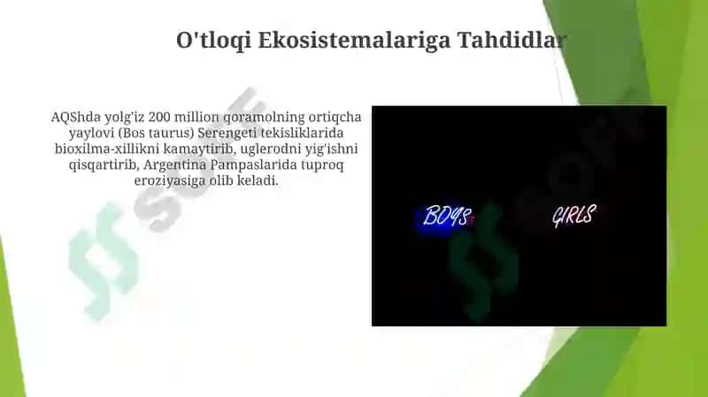 Sredniy rod. Otlarning 3 turlanishi 6