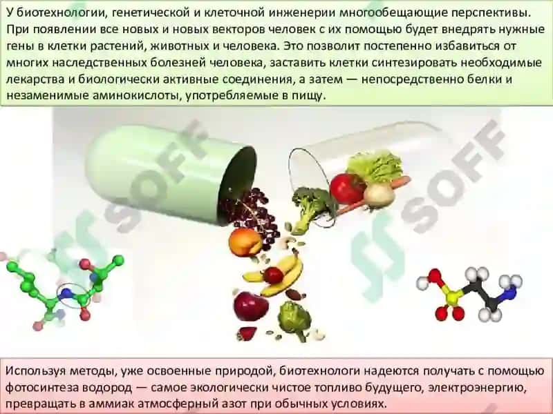 Қишлоқ хўжалик экинларини соғломлаштиришнинг биотехнологик асослари. 6