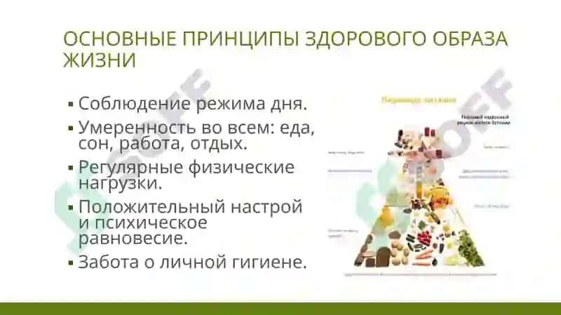 Понятие_об_экологии_История_развития_гигиены 6