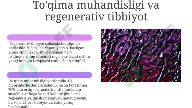 To'qimalarning fiziologik va reparativ regeneratsiyasi 6