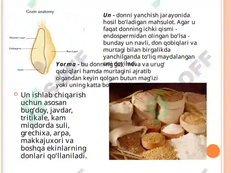 OZIQ-OVQAT SANOATI XOMASHYOLARIFANIDAN TAQDIMOTLAR 6