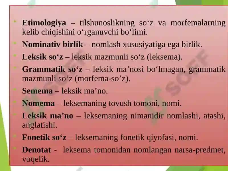 Hozirgi o‘zbek adabiy tilining leksik sathi va leksikologiyasi 6