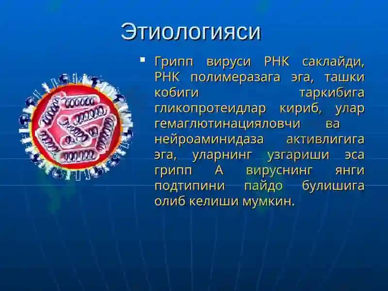 Грипп ва бошка УРВИлар 6