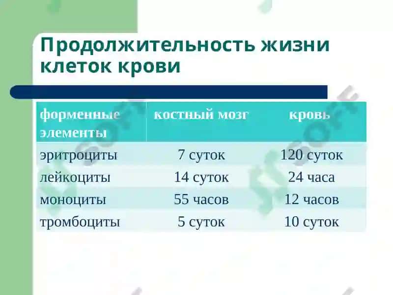 Лекция 12 Патофизиология крови 6