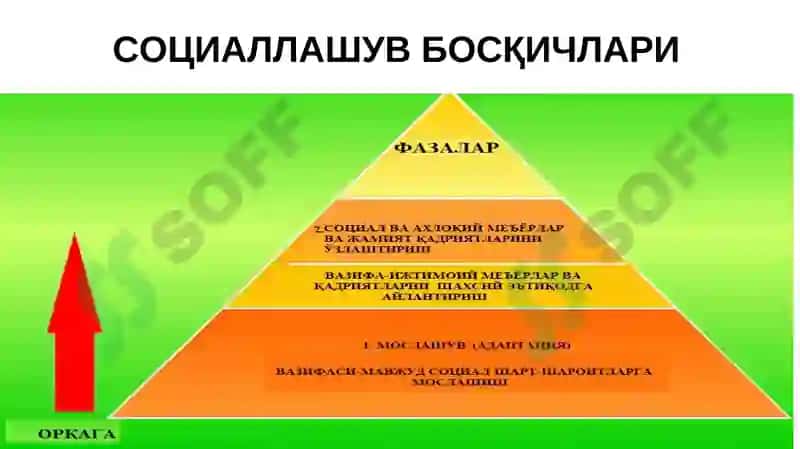 Социогенезда шахс 6