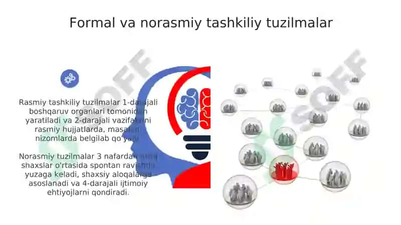 Tashkilot ijtimoiy tuzilma sifatida 6