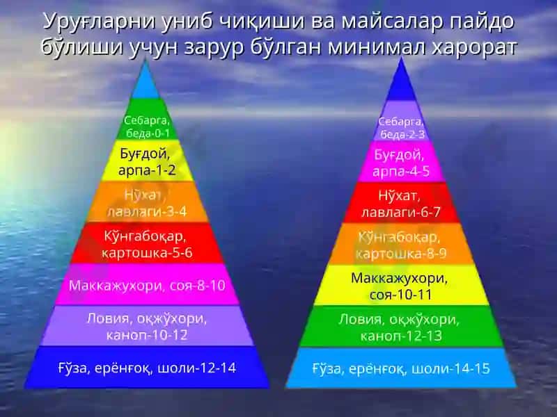 Тупроқнинг иссиқлик режими ва уни бошқариш 6