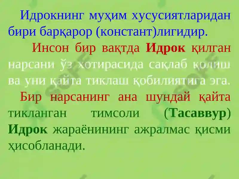 Идрок 6
