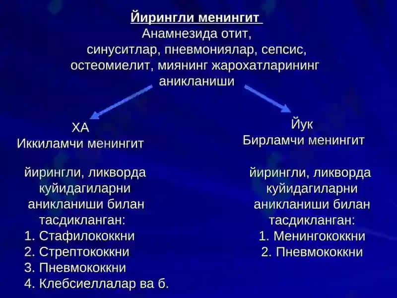 Менингит 6