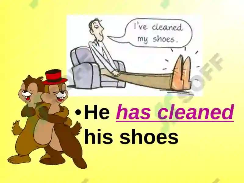 Present Perfect Tense 6
