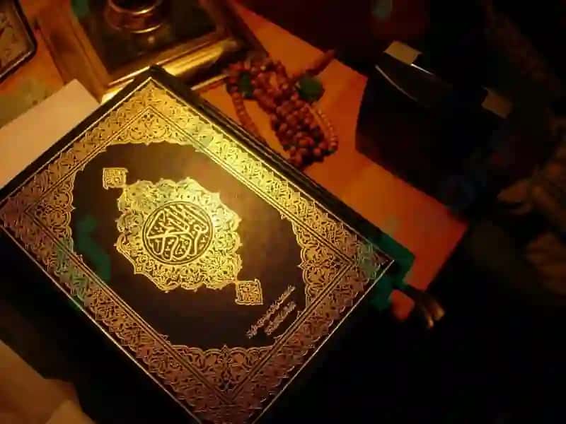 Kishilik jamiyati shakllanishi 6