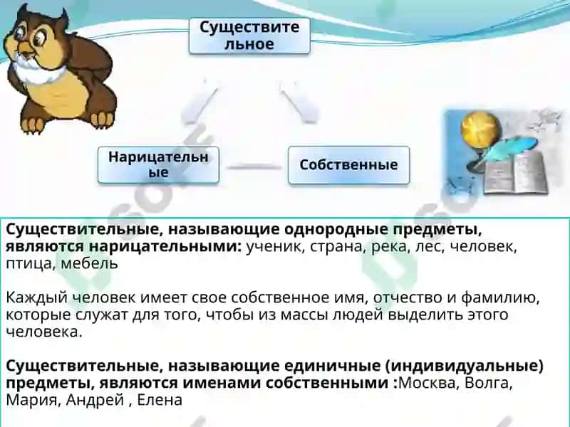 Имя существительное 6