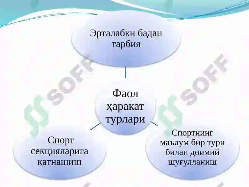 Соғлом турмуш тарзи ва унинг таркибий қисмлари 6