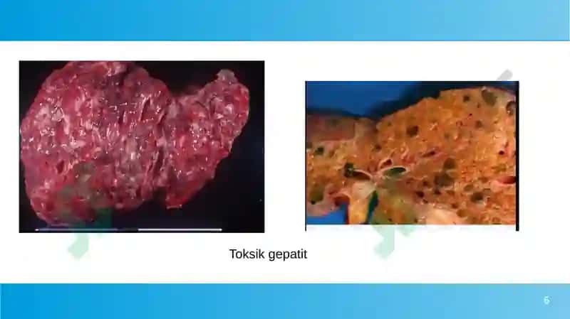 Zaharli kimyoviy moddalar ta'rifi va tasnifi 6