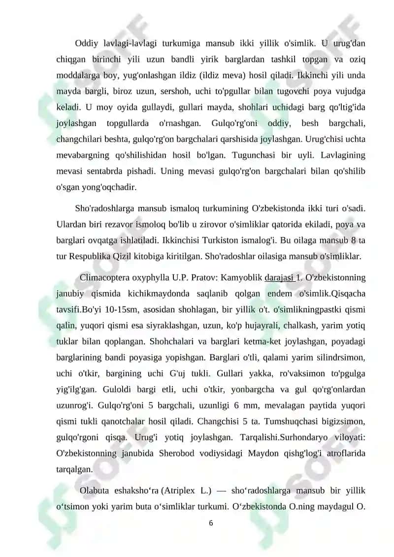SHO’RADOSHLAR OILASI HAQIDA UMUMIY MA’LUMOT VA JAG’-JAG’ O‘SIMLIGI 6