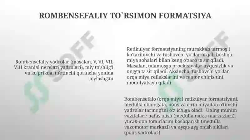 Miyachaning tuzilishi. IV-qorincha, Rombsimon bosh miya nervlari o'zaklarining joylashishi 6