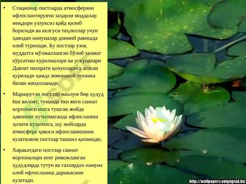 Ифлосланишни бошқариш иқтисодиёти: умумий нуқтаи-назар 6