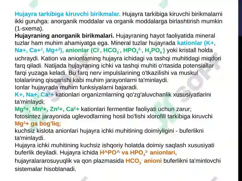 Akademik litseyni biologiya fanio’qituvchisi 6