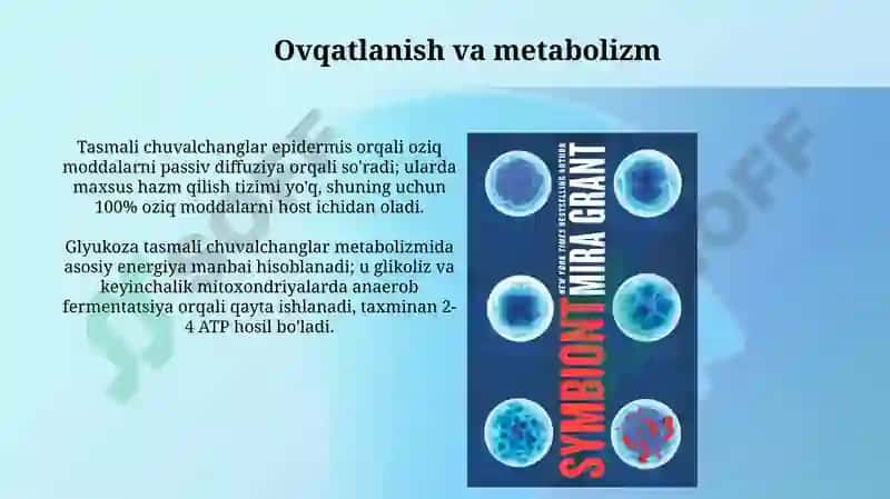 Tasmasimon chuvalchanglar dunyosi va ularning vakillari 6