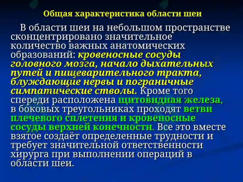 Клиническая анатомия с основами оперативной хирургии 6