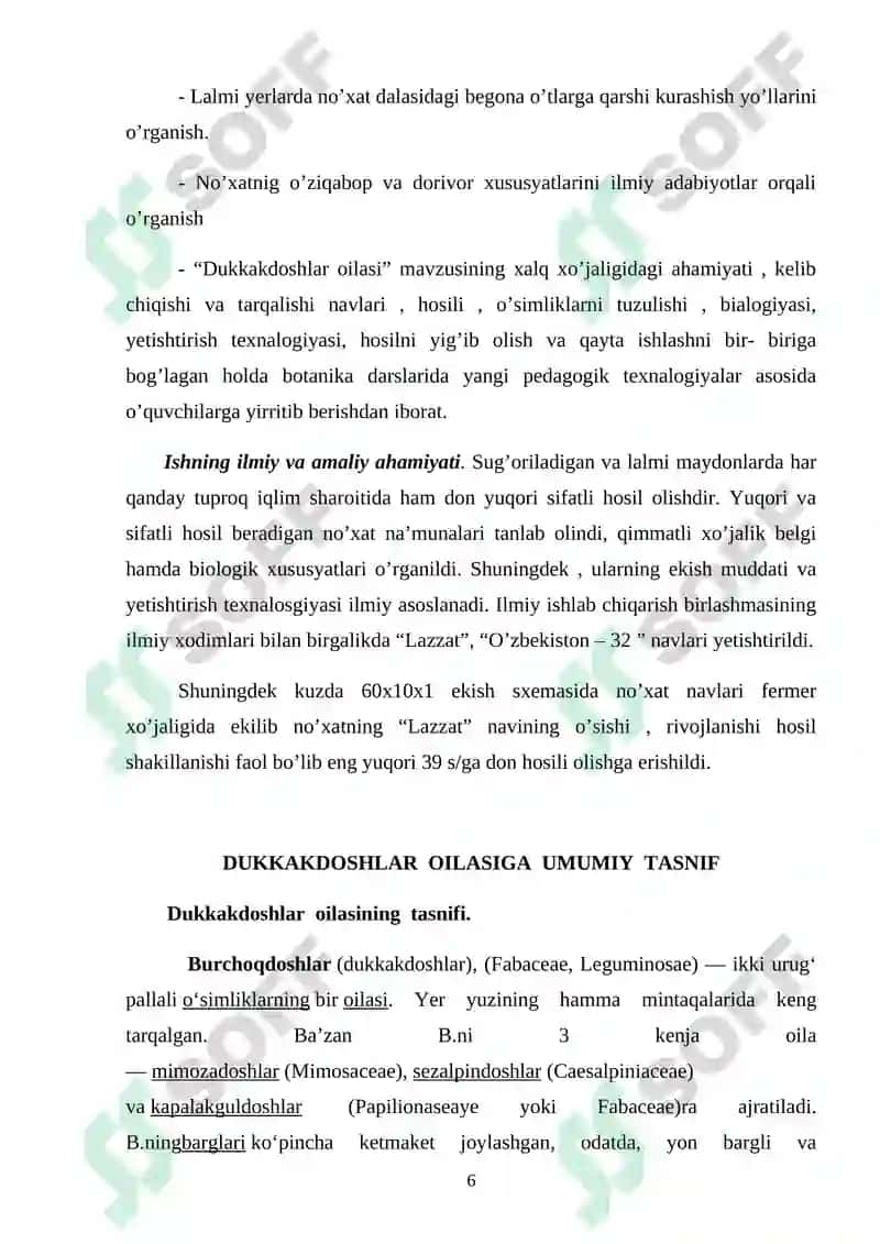 Burchoqdoshlar oilasi kurs ishi 6