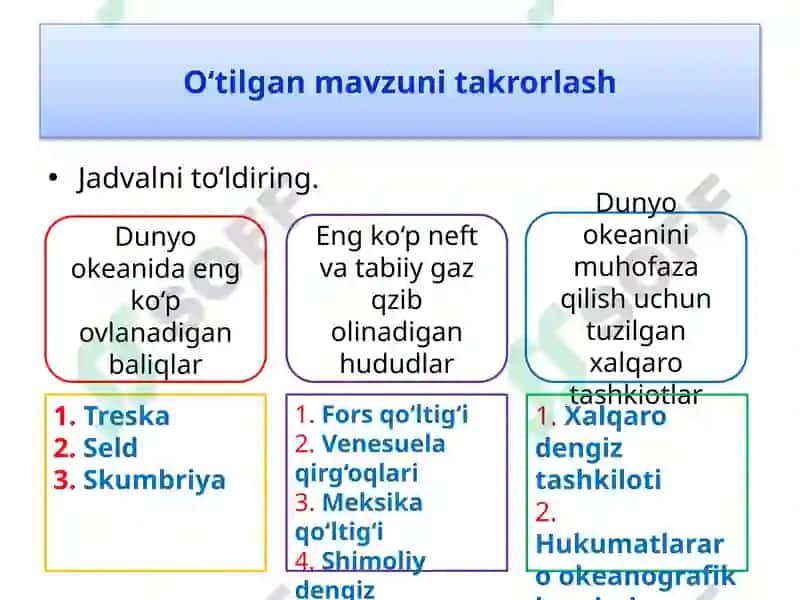 Okean Organizmlari 6