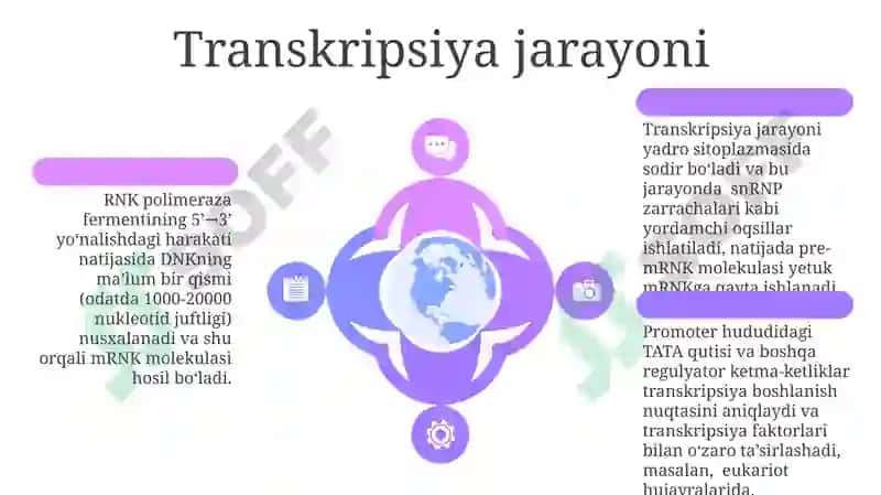 Transkripsiya va RNKning Protsesslanishi 6