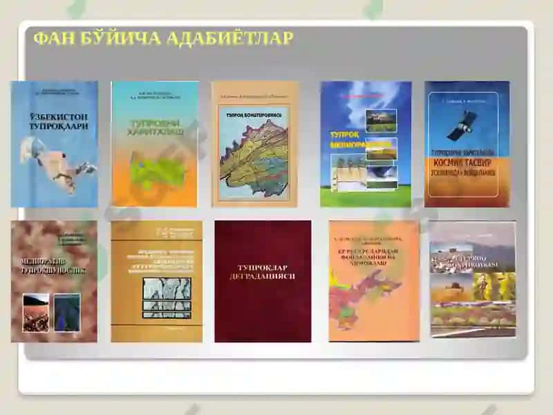 ТУПРОҚ ПАЙДО БЎЛИШ ЖАРАЁНЛАРИНИНГ УМУМИЙ СХЕМАСИ 6
