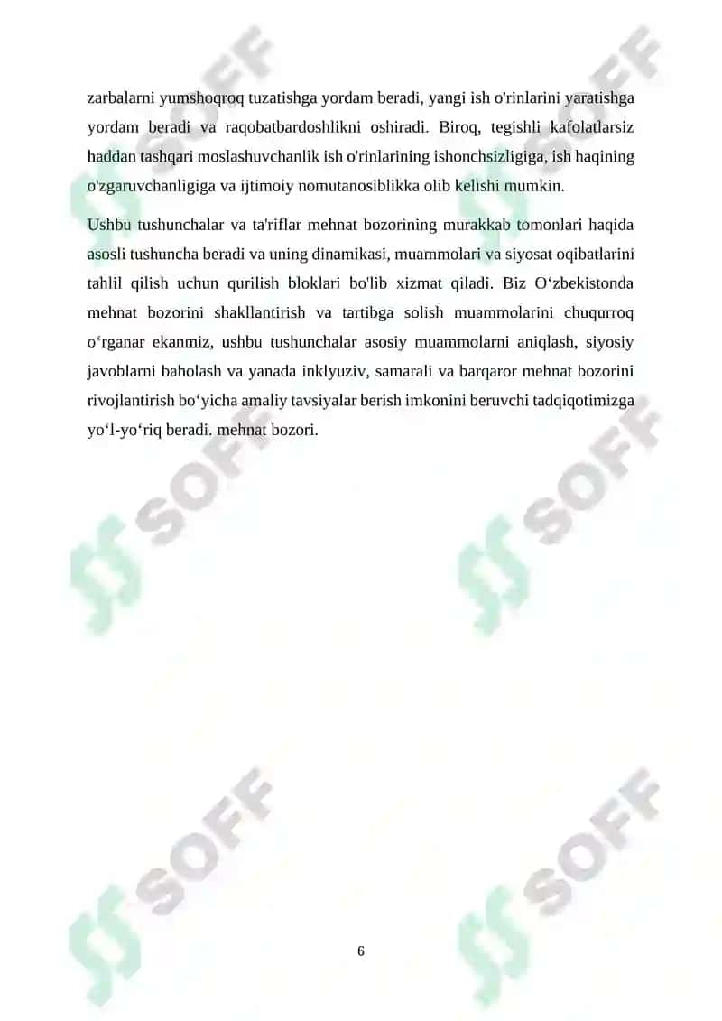 O'ZBEKISTONDA ISHCHI KUCHI BOZORINI SHAKLLANTIRISH VA TARTIBGA SOLISH MUAMMOLARI 6