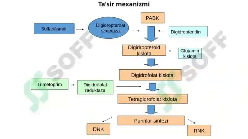 Stomotologiyayo’nalishi23-06guruhtalabasiNormo’minovaDilrabosulfanilamiddori vositalari 6
