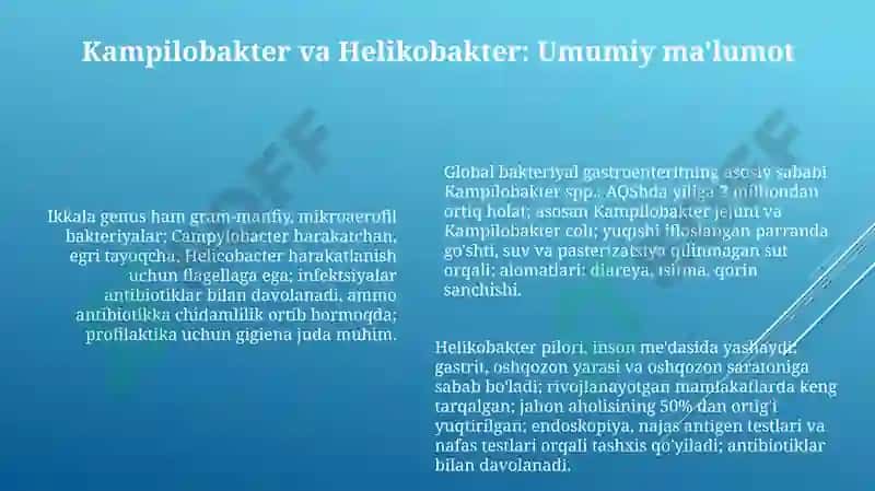 Kampilobakteriyalar, xelikobakteriyalar va ularning amaliyotdagi ahamiyati 6
